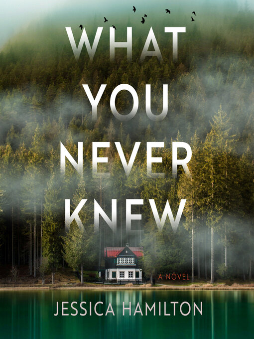 Title details for What You Never Knew by Jessica Hamilton - Wait list